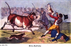 Bull-baiting-from-The-National-Sports-of-Great-Britain-Henry-Thomas-Alken-1825