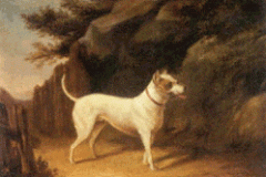 Bull-Terrier-in-a-landscape-English-School-circa-1880