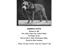 1901-leemings-butte