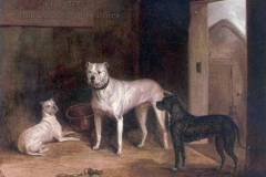 807I-Bulldogs-of-early-1800s