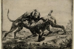 1670-Jacobus-de-Jonckheer.-Two-fighting-Bulldogs