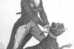 The-Duke-of-Hamiltons-fighting-Bulldog-Tyger.-Engraving-circa-1790