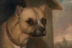 1851-Staffordshire-bull-terrier-belonging-to-the-Rev.-John-Gower-J.M.-Crossland