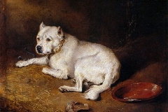 Staffordshire-Bull-Terrier-c.1850