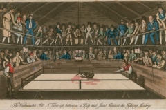 The-Westminster-Pit-A-turn-up-between-a-dog-and-Jacco-Macacc-the-fighting-monkey-1822