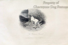 178-1-Bull-and-terrier-Farmers-magazine-1812