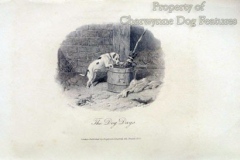 1812-178-2-Bull-and-terrier-Farmers-magazine-1812