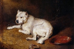 1850-1870-A-Staffordshire-Bull-Terrier-Edwin-Henry-Landseer