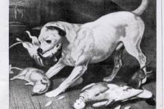 1870-829-2-EARLY-STAFFIE-The-breed-type-depicted-around-1870