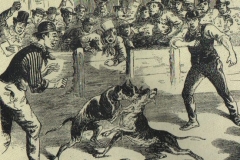 Dog-fighting-in-the-USA-Illustrated-Police-News-January-1867