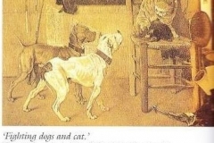 FIGHTING-DOGS-CAT19TH-CENTURY-PAINTING