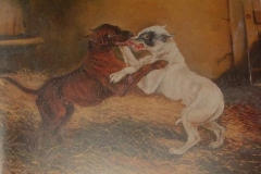 FIGHTING-TERRIERS-OIL-ON-CANVAS-YEAR-ARTIST-UNKNOWN