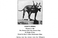 1894-colbys-spring