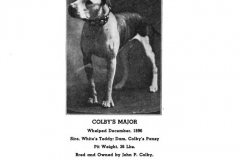 1896-colbys-major