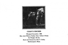 1896-colbys-pincher