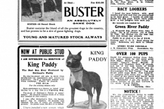 1910-buster