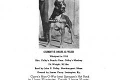 1914-currys-man-o-war