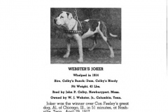 1914-webster-jocker