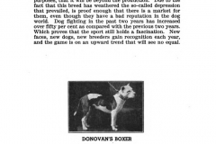 donovans-boxer